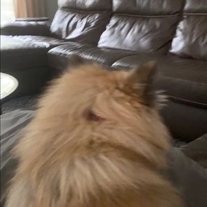 Meet your Posher, Lanie